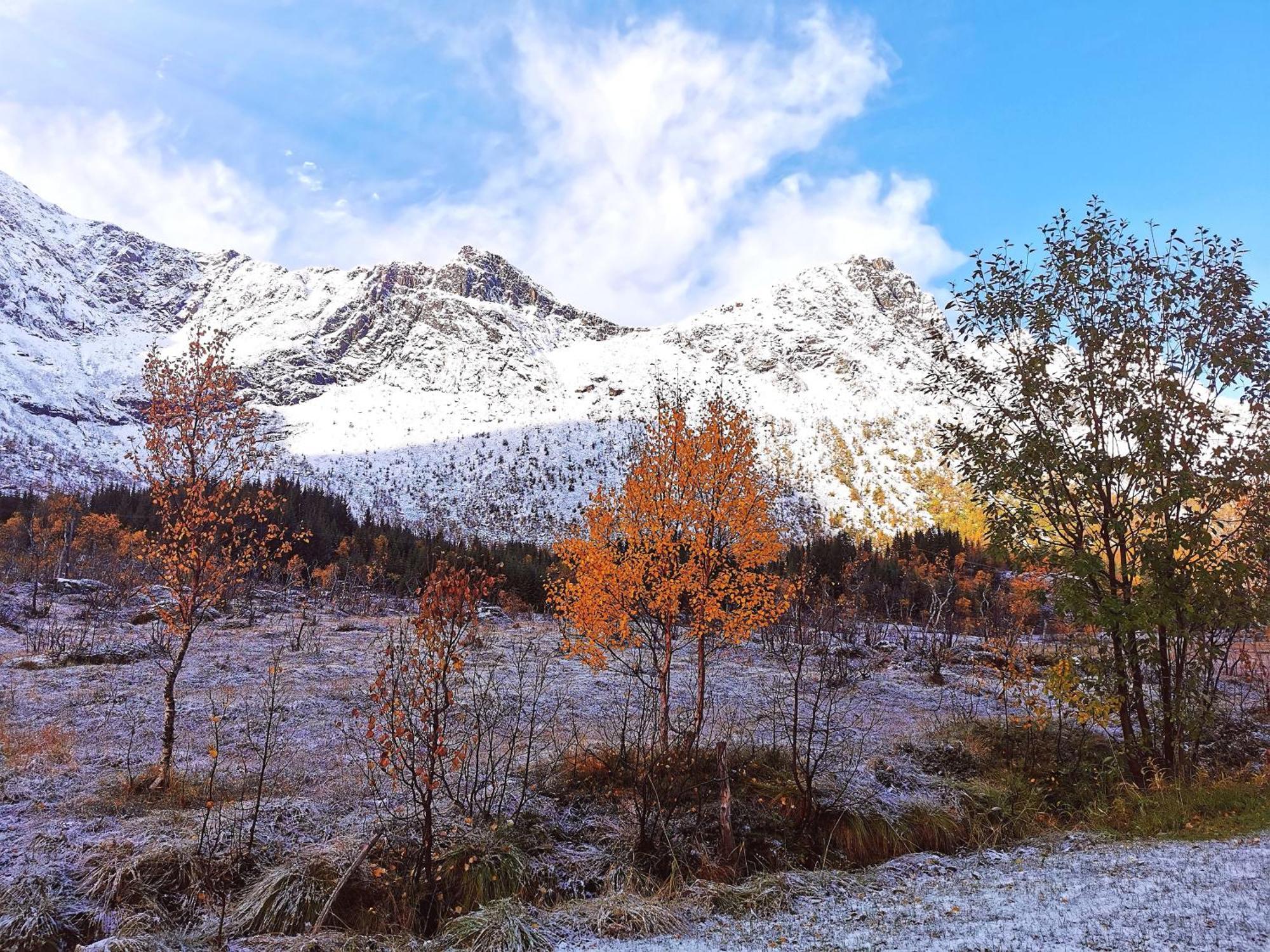 Holiday Home On Senja Senjahopen Dış mekan fotoğraf